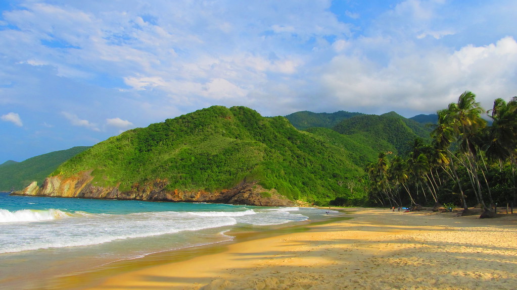 Choroní & Playa Grande