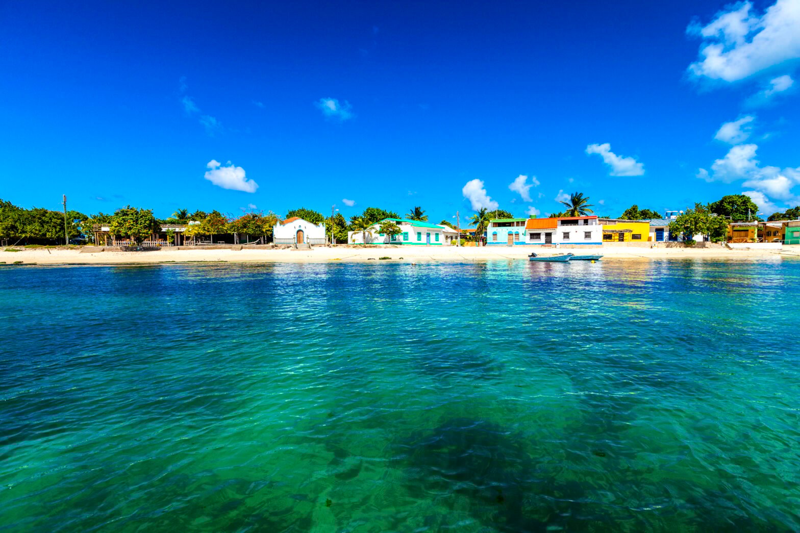 Los Roques Snorkeling